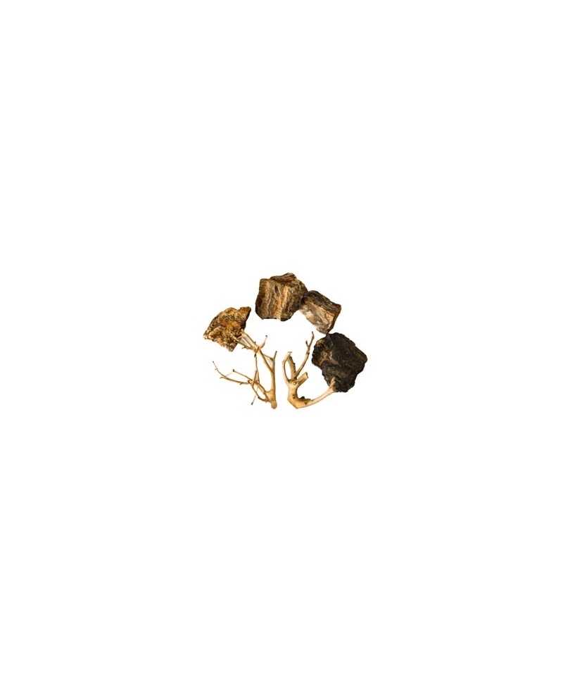 ROCHES + RACINES WOOD FOSSIL (4/6pc - 2pc) SCALARE